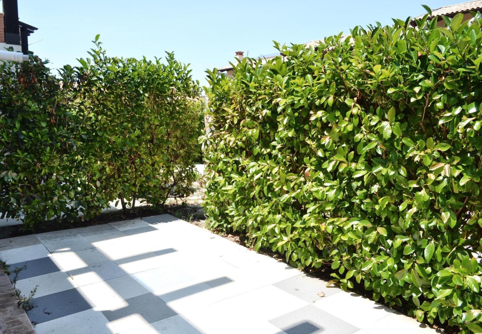 Le Case Del Carmine Con Giardino E Parcheggio A Тропеа Екстер'єр фото