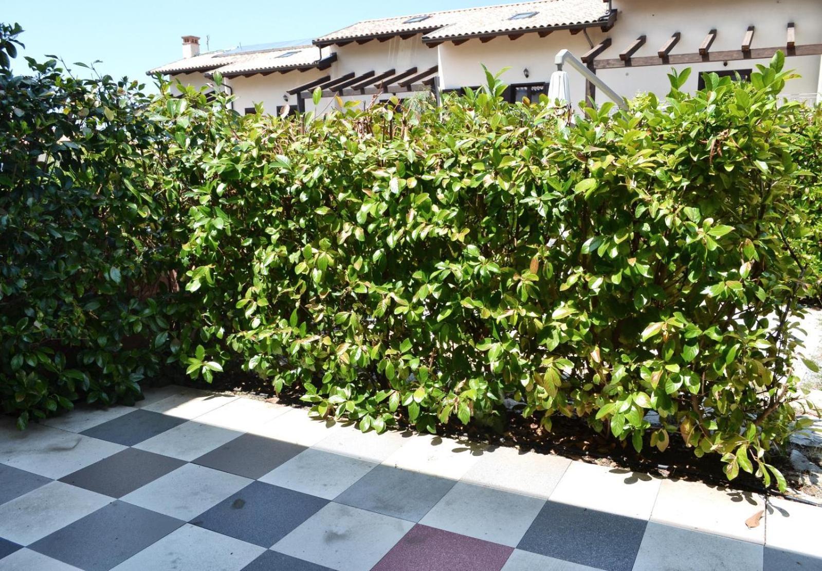 Le Case Del Carmine Con Giardino E Parcheggio A Тропеа Екстер'єр фото